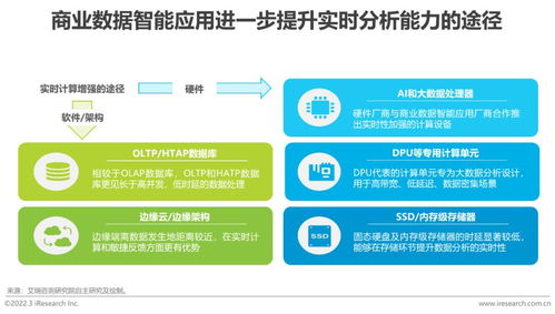2022年中國(guó)商業(yè)數(shù)據(jù)智能行業(yè)研究